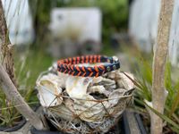 Halsband Leder Paracord orange